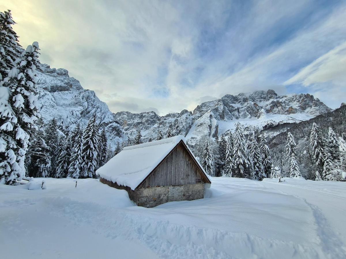 Chalet Camporosso Camporosso  Ngoại thất bức ảnh